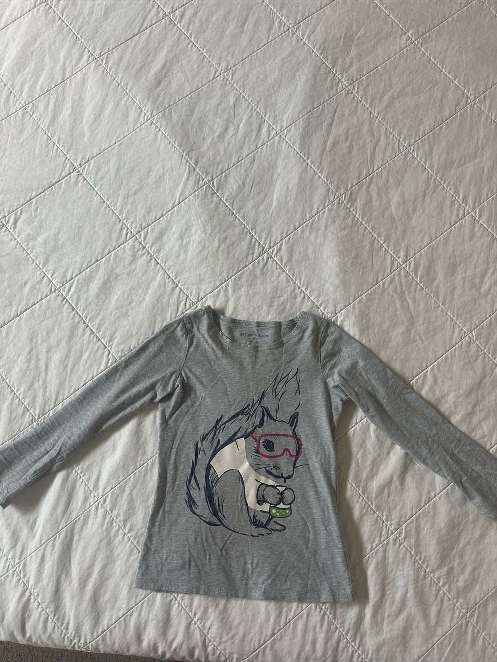 Garnet Hill Grey Long-Sleeve Tee with Squirrel Graphic and Pink Goggles